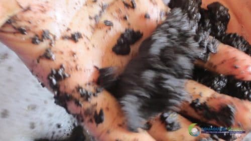 Demonstracja mycia gleby AQUAQUICK 2000 w Petron 65