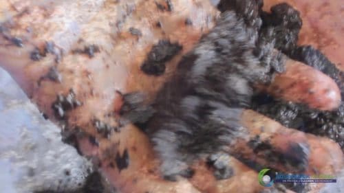 Demonstracja mycia gleby AQUAQUICK 2000 w Petron 66