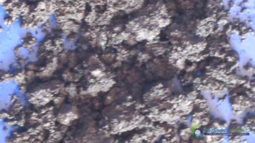 Demonstracja mycia gleby AQUAQUICK 2000 w Petron 67