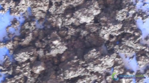 Demonstracja mycia gleby AQUAQUICK 2000 w Petron 68