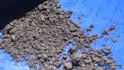 Demonstracja mycia gleby AQUAQUICK 2000 w Petron 69