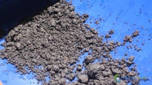 Demonstracja mycia gleby AQUAQUICK 2000 w Petron 70