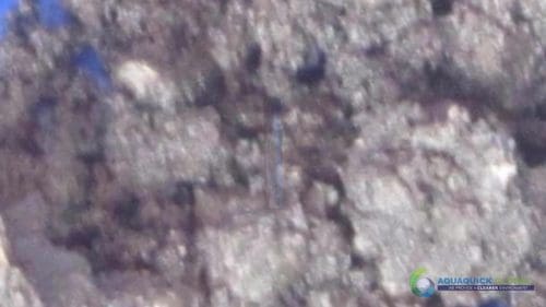 Demonstracja mycia gleby AQUAQUICK 2000 w Petron 73