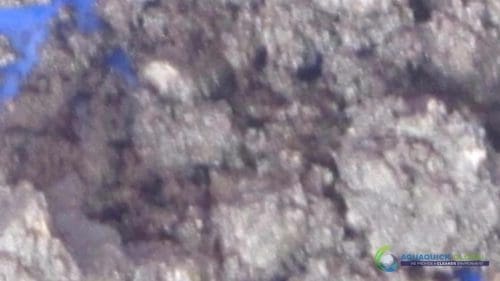 Demonstracja mycia gleby AQUAQUICK 2000 w Petron 75