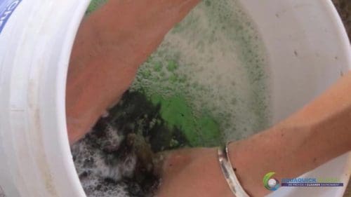 Demonstracja mycia gleby AQUAQUICK 2000 w Petron 77