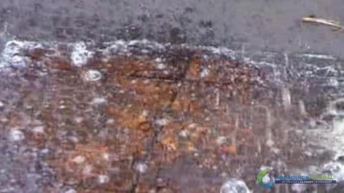 AQUAQUICK 2000 Surface Oil Spill Cleaning Demo 1 41