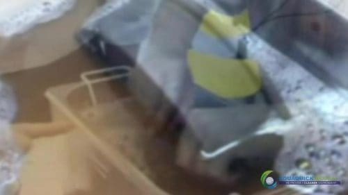 AQUAQUICK 2000 Ultra Sonic Cleaning 35