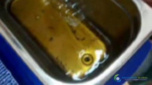 AQUAQUICK 2000 Ultra Sonic Cleaning 54