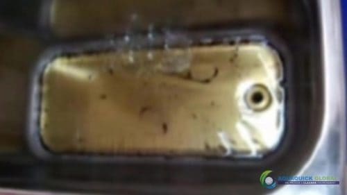 AQUAQUICK 2000 Ultra Sonic Cleaning 57