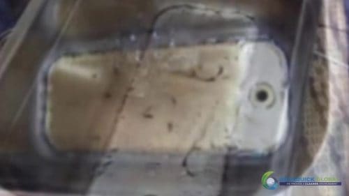 AQUAQUICK 2000 Ultra Sonic Cleaning 58