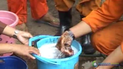 AQUAQUICK 2000 Washing hands removing all oil stains 19