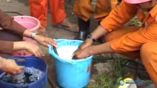 AQUAQUICK 2000 Washing hands removing all oil stains 22