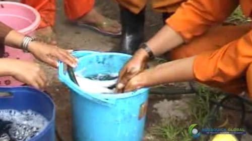 AQUAQUICK 2000 Washing hands removing all oil stains 25