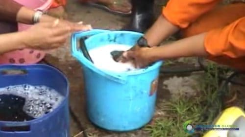 AQUAQUICK 2000 Washing hands removing all oil stains 26