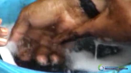 AQUAQUICK 2000 Washing hands removing all oil stains 30