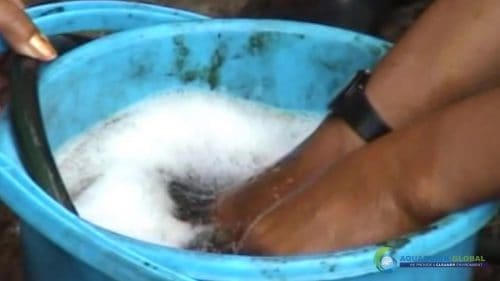 AQUAQUICK 2000 Washing hands removing all oil stains 33