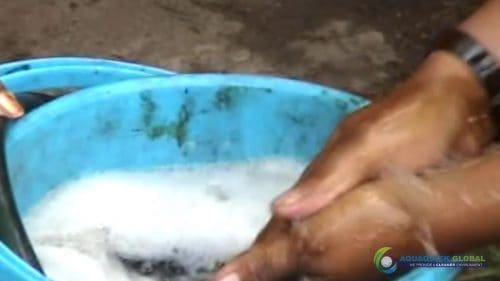 AQUAQUICK 2000 Washing hands removing all oil stains 37