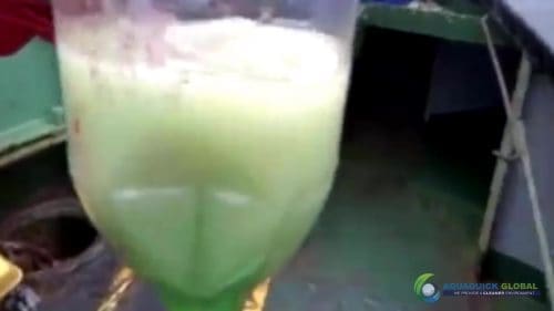 AQUAQUICK 2000 curățarea deversărilor de petrol în orașul cebu 047