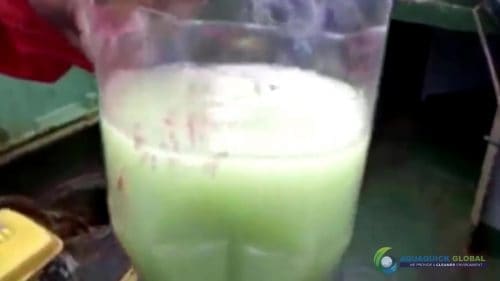 AQUAQUICK 2000 curățarea deversărilor de petrol în orașul Cebu 052