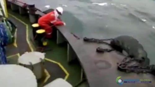 AQUAQUICK 2000 curățarea deversărilor de petrol în orașul Cebu 068