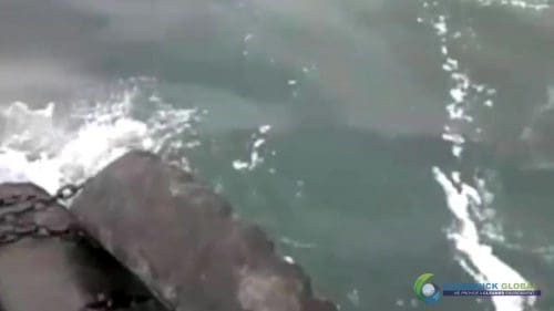 AQUAQUICK 2000 curățarea scurgerilor de petrol în orașul Cebu 073