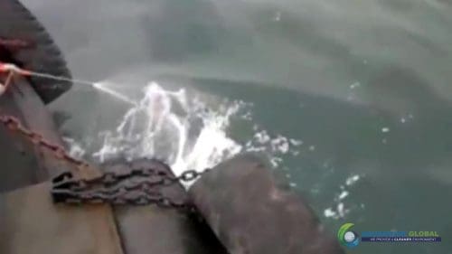 AQUAQUICK 2000 curățarea scurgerilor de petrol în orașul Cebu 074