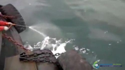 AQUAQUICK 2000 curățarea scurgerilor de petrol în orașul Cebu 075