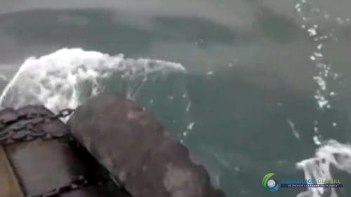 AQUAQUICK 2000 curățarea scurgerilor de petrol în orașul Cebu 076