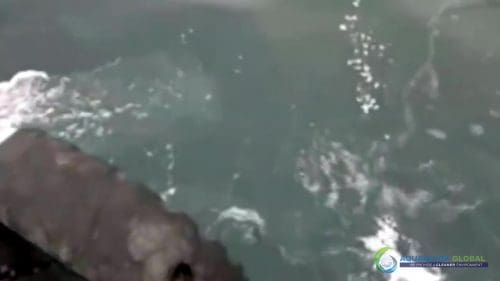 AQUAQUICK 2000 curățarea scurgerilor de petrol în orașul Cebu 077