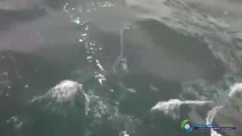 AQUAQUICK 2000 curățarea scurgerilor de petrol în orașul Cebu 078