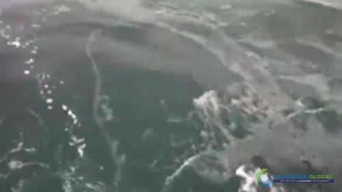 AQUAQUICK 2000 curățarea scurgerilor de petrol în orașul Cebu 079