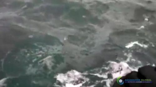 AQUAQUICK 2000 curățarea scurgerilor de petrol în orașul Cebu 081