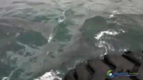 AQUAQUICK 2000 curățarea scurgerilor de petrol în orașul Cebu 082