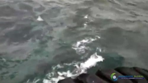 AQUAQUICK 2000 curățarea scurgerilor de petrol în orașul Cebu 083