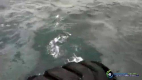 AQUAQUICK 2000 curățarea scurgerilor de petrol în orașul Cebu 084