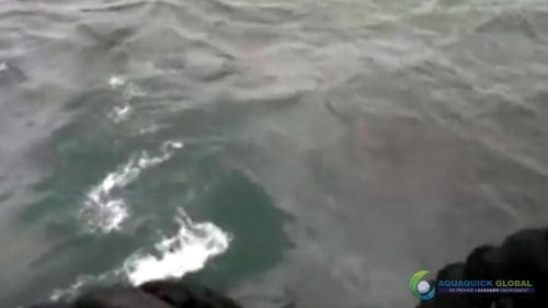 AQUAQUICK 2000 curățarea deversărilor de petrol în orașul Cebu 085