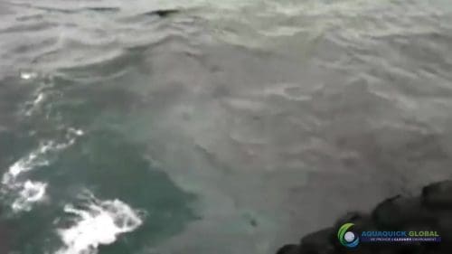 AQUAQUICK 2000 curățarea deversărilor de petrol în orașul Cebu 086