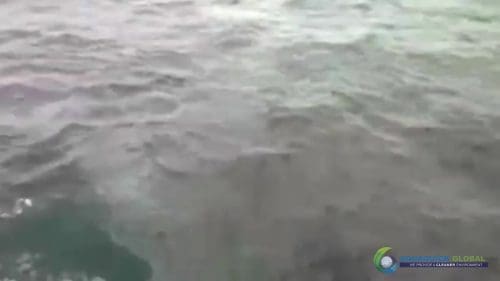 AQUAQUICK 2000 curățarea scurgerilor de petrol în orașul Cebu 089