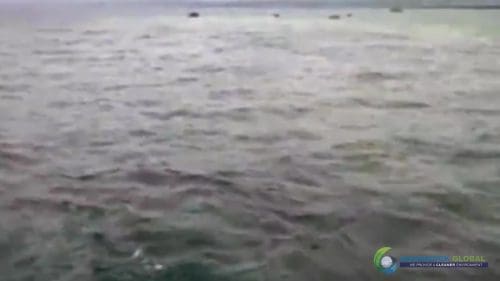 AQUAQUICK 2000 curățarea scurgerilor de petrol în orașul Cebu 091