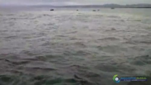 AQUAQUICK 2000 curățarea deversărilor de petrol în orașul Cebu 092