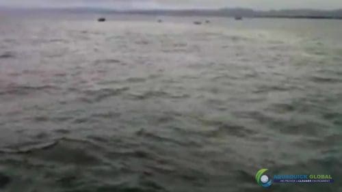 AQUAQUICK 2000 curățarea scurgerilor de petrol în orașul Cebu 093