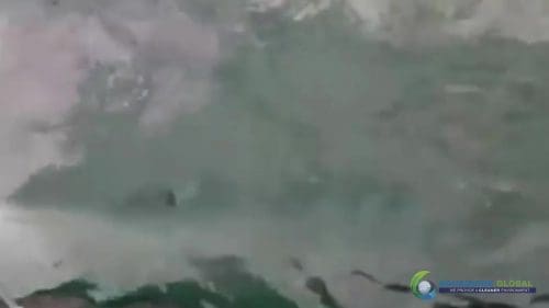 AQUAQUICK 2000 curățarea deversărilor de petrol în orașul Cebu 094