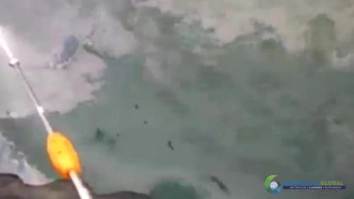 AQUAQUICK 2000 curățarea scurgerilor de petrol în orașul Cebu 095