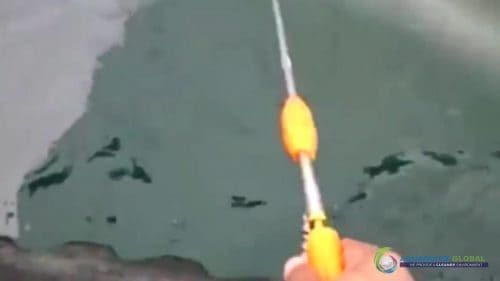 AQUAQUICK 2000 curățarea deversărilor de petrol în orașul Cebu 097