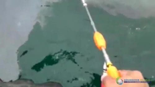 AQUAQUICK 2000 curățarea deversărilor de petrol în orașul Cebu 099
