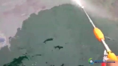 AQUAQUICK 2000 curățarea deversării de petrol în orașul Cebu 111