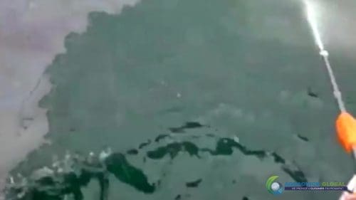 AQUAQUICK 2000 curățarea deversărilor de petrol în orașul Cebu 115