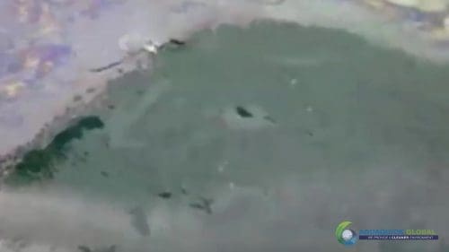 AQUAQUICK 2000 curățarea deversărilor de petrol în orașul Cebu 117