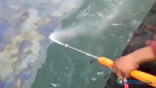 AQUAQUICK 2000 curățarea deversării de petrol în orașul Cebu 125