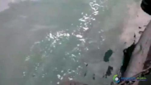 AQUAQUICK 2000 curățarea deversării de petrol în orașul Cebu 129